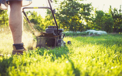 Gas vs Electric Lawn Mowers: Pros and Cons Compared
