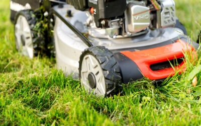 What to Do if Your Lawnmower Starts Then Dies