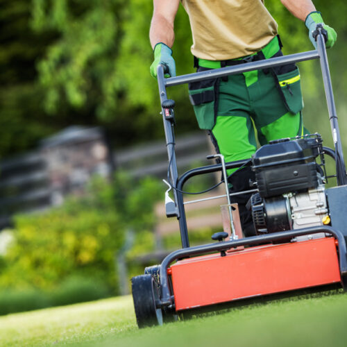 Lawn Aeration: When, Why, and How to Aerate a Lawn