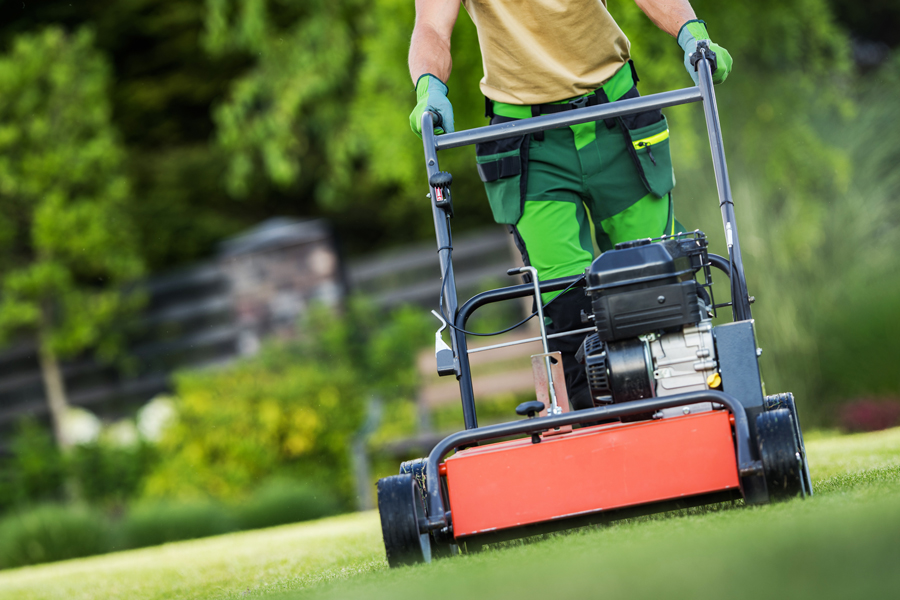 Lawn Aeration: When, Why, and How to Aerate a Lawn