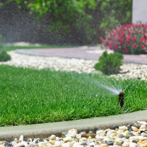 When Is the Best Time to Water Your Lawn in Connecticut?
