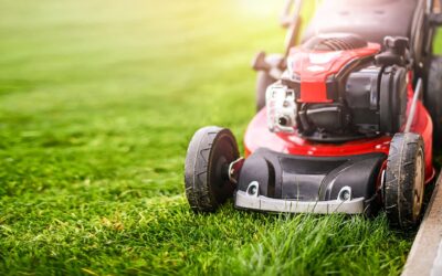 What Oil Should You Use For Your Lawn Mower?