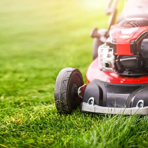 What Oil Should You Use For Your Lawn Mower?